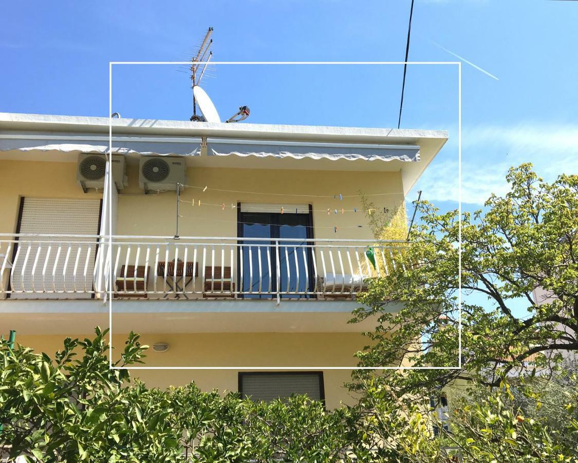 Apartment Elza Zadar Dış mekan fotoğraf